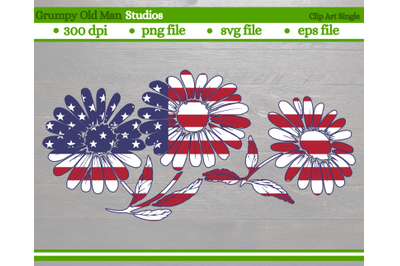 July 4th coneflower | fourth of July design