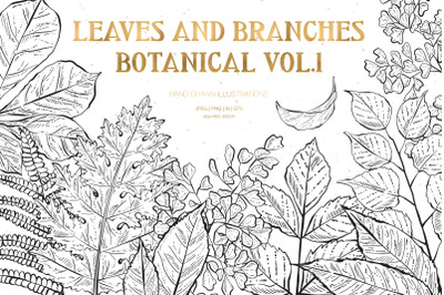 Leaves and Branches Botanical Vol. 1