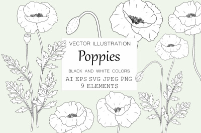 Poppies flowers. Poppies graphics. Poppies coloring SVG