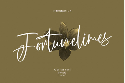 Fortunelimes Script Font