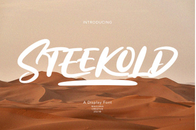 Steekold Display Font