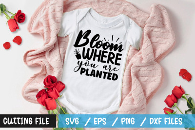 bloom where you are planted svg