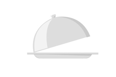 Kitchen Movable Food Cover Flat Icon