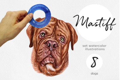 Mastiff. Watercolor dog illustrations. Cute 8 dog