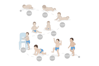 Stages of growing and development baby, vector growth