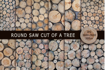 Round saw cut of a tree