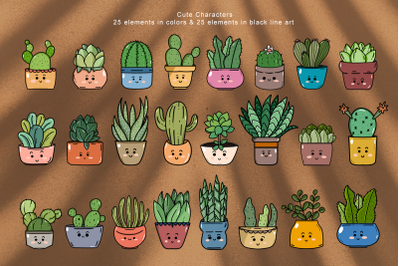 Cactus and Succulent