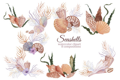 Seashells watercolor ocean compositions for wedding invitations, logo