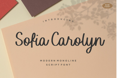 Sofia Carolyn Modern Monoline Script Font