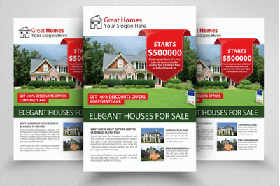 Real Estate Agency Flyer/Poster