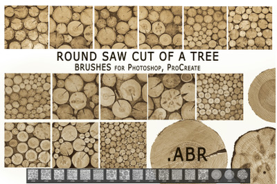 Round saw cut of a tree. Brushes for Photoshop, ProCreate .ABR