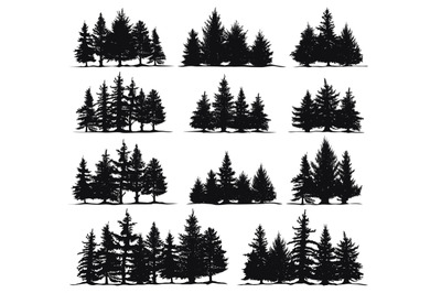 Christmas trees silhouettes. Spruce nature fir trees&2C; coniferous fores