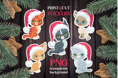 Cats Christmas print and cut stickers PNG