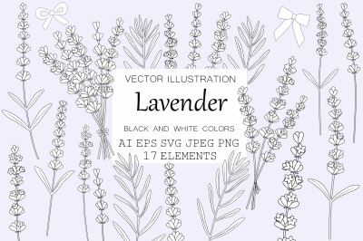 Lavender flowers. Lavender graphics. Lavender coloring SVG