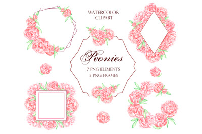 Peonies watercolor clipart. Flowers. Frames, wreaths, borders. Pink