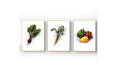 Vegetable Illustration, Peppers, Carrots