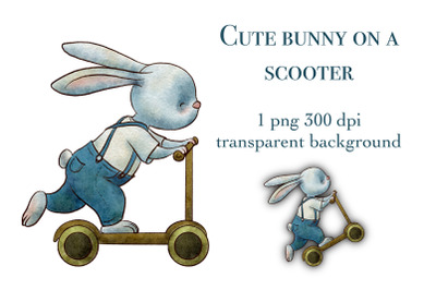 Cute Bunny on a Scooter in Blue Pants
