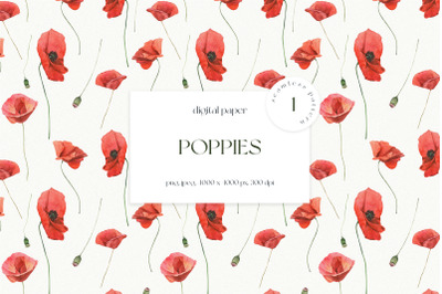 Poppies Seamless Pattern