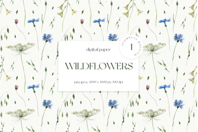 Wildflowers Seamless Pattern