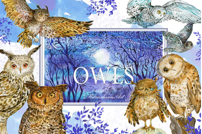 Owls Watercolor clipart Illustration