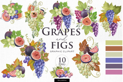 Grape bouquets clipart