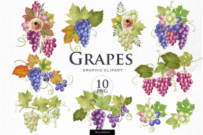 Grape bouquets clipart, part 2