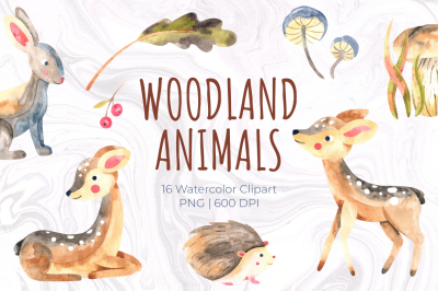 Woodland animals. Watercolor set. PNG elements