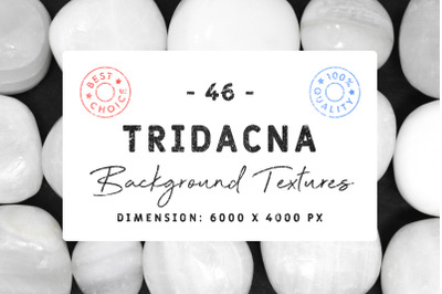 46 Tridacna Background Textures