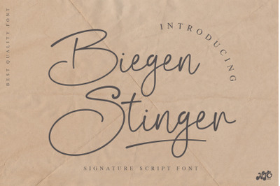 Biegen Stinger - Script Font