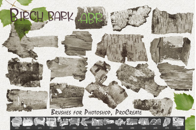 Birch bark. Brushes for Photoshop, ProCreate .ABR