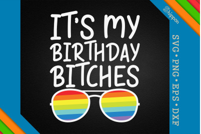 Its My Birthday LGBTQ Proud LGBTQ Rights