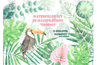 Tropics watercolor clipart. Tropical greenery. Palm leaves, monstera.