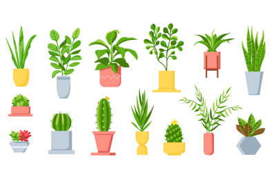 Pot plants. House tropical leaves, tree, succulents and cactus. Urban