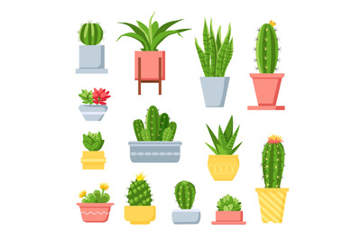 Cactus and succulents. Cute cartoon cacti in pots. Mexican exotic home