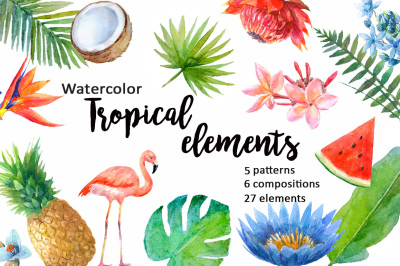 Watercolor tropical elements.