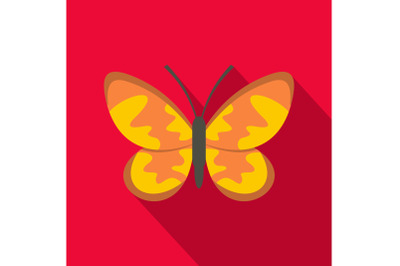 Wild butterfly icon, flat style.