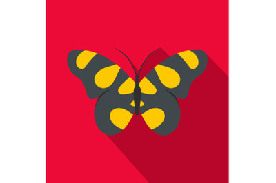 Butterfly in wildlife icon, flat style.