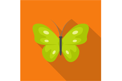 Exotic butterfly icon, flat style.