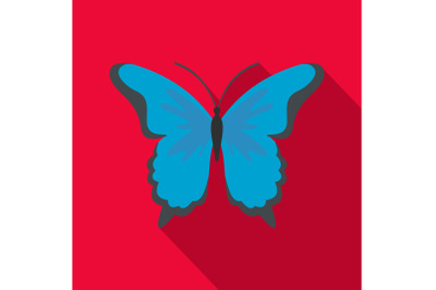 Insect butterfly icon, flat style.