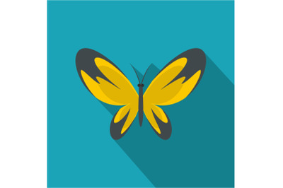 Wide wing butterfly icon, flat style.