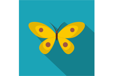 Butterfly with ornament icon, flat style.