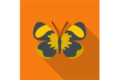 Small butterfly icon, flat style.