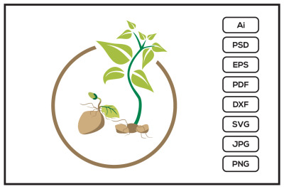 Potatoes seed design illustration