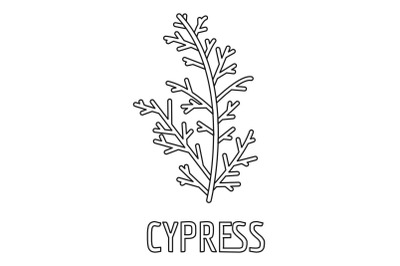 Cypress leaf icon, outline style.
