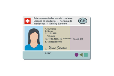 Driving license icon, flat style.