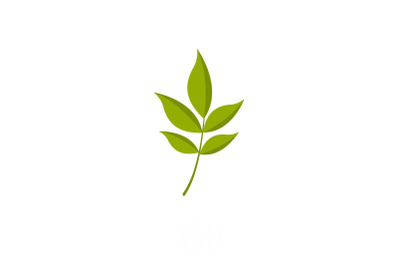 Ash leaf icon, flat style