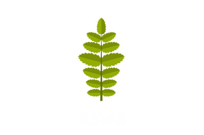 Rowan leaf icon, flat style