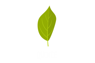Quince leaf icon, flat style