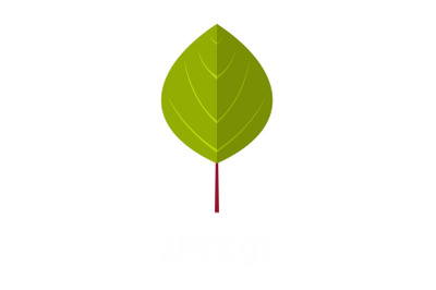 Apricot leaf icon, flat style