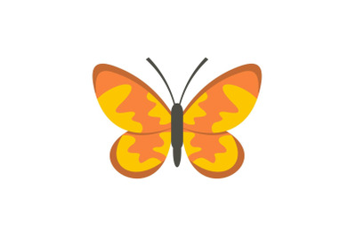 Wild butterfly icon, flat style.